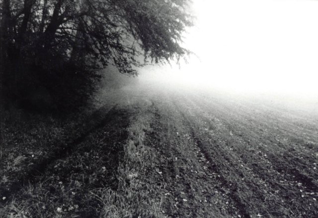 a28.jpg