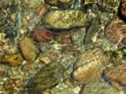 p5250008kopia_small.jpg