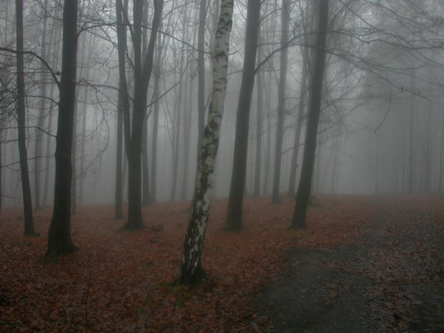 p1010002.jpg