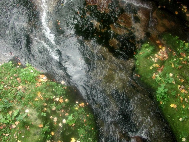 p9270012.jpg