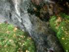 p9270012_small.jpg