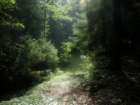 pa110029_small.jpg