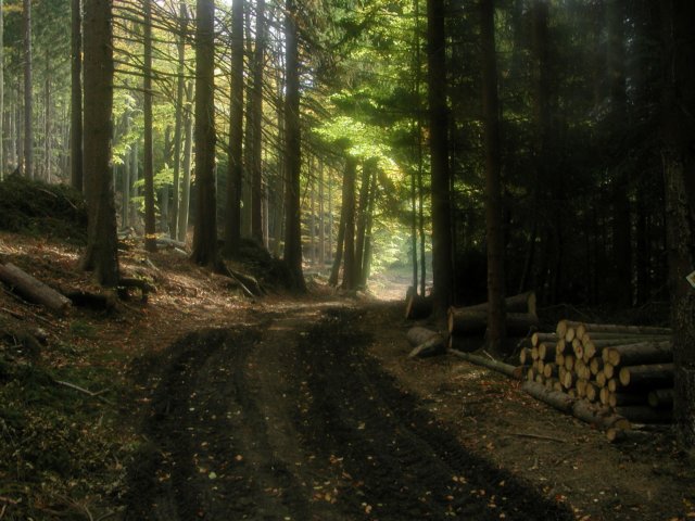 pa190027kopia2.jpg