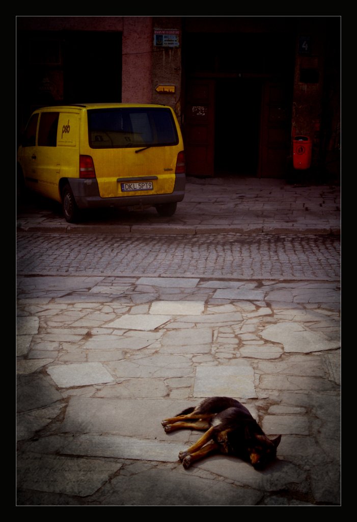 IMGP0932