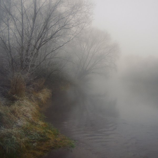 IMGP2338