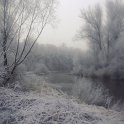 IMGP2251